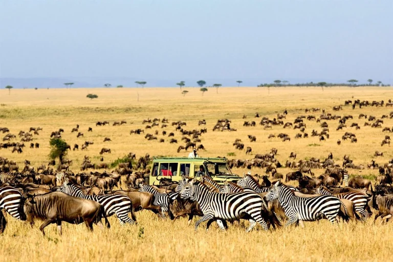 3 Days Serengeti National Park