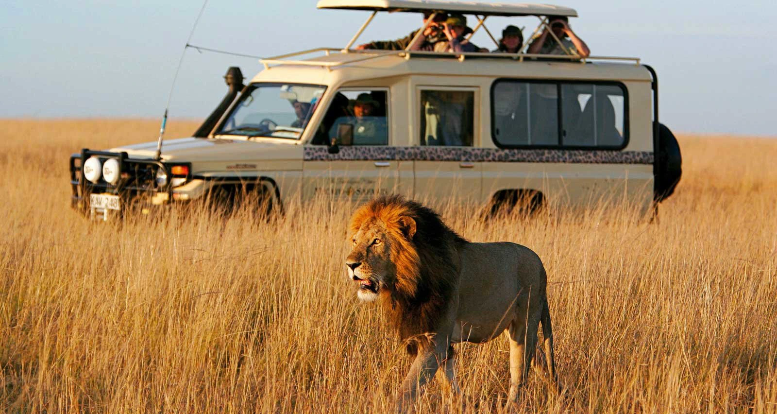 Native Africa Tours