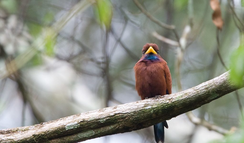 Semuliki National Park
