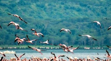 Lake Nakuru National Park