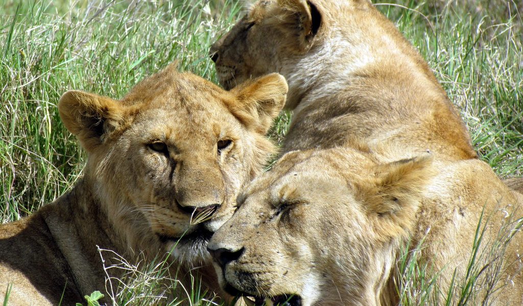 Serengeti National Park