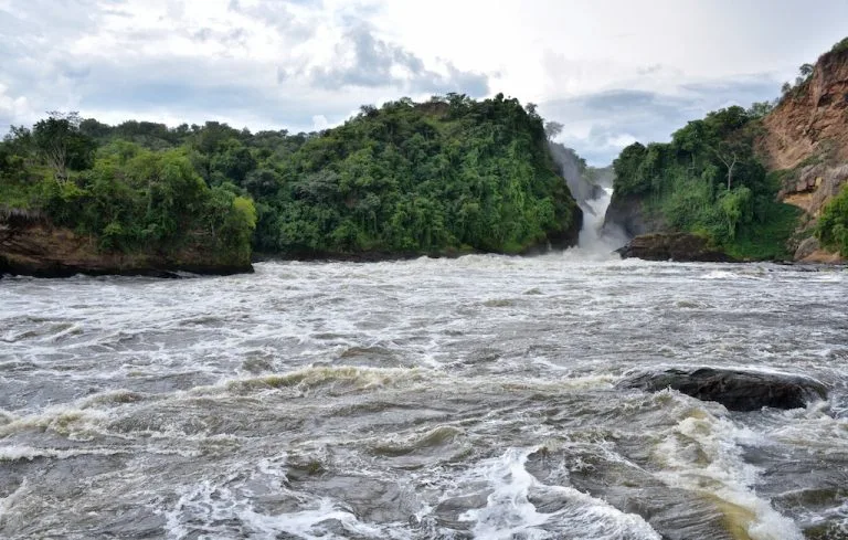 4 Days Murchison Falls and Budongo Chimps