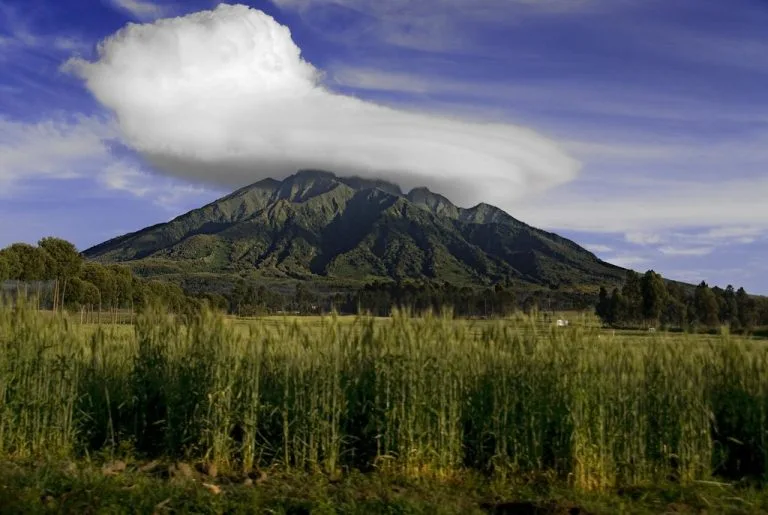 6 Days Akagera & Volcanoes Safari