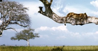 Queen Elizabeth National Park