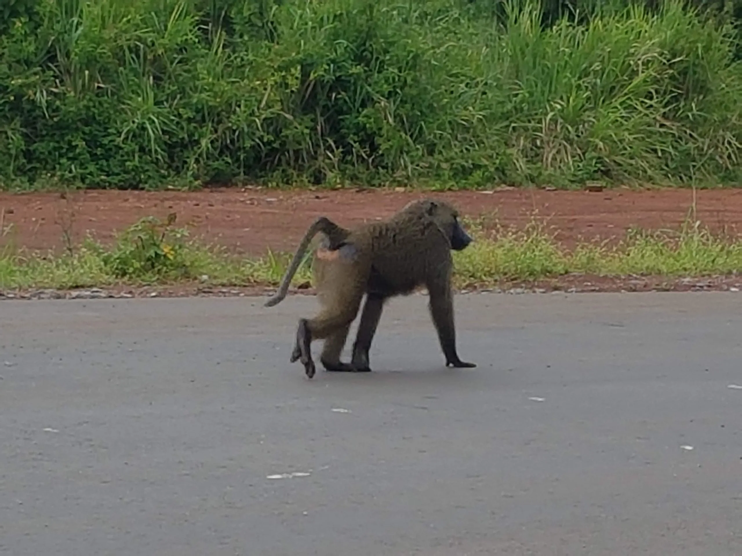 Bugungu Wildlife Reserve