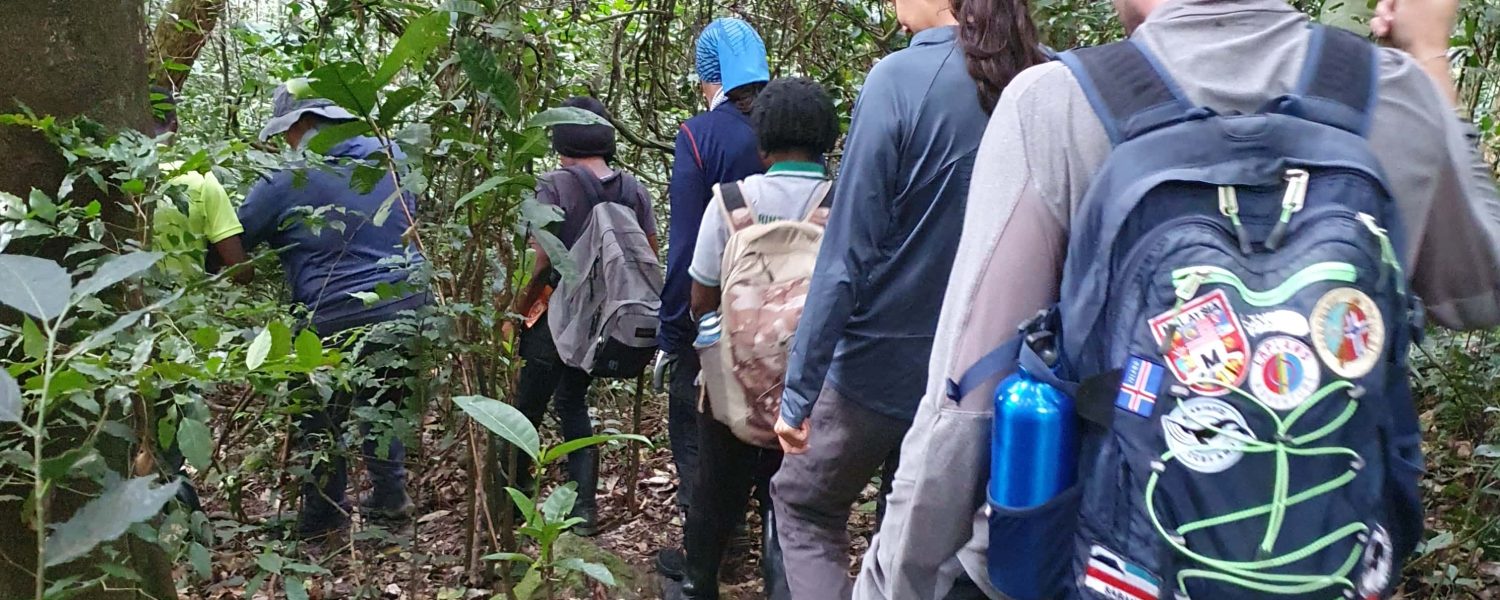 What to Pack for Gorilla Trekking in Uganda?