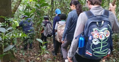 What to Pack for Gorilla Trekking in Uganda?