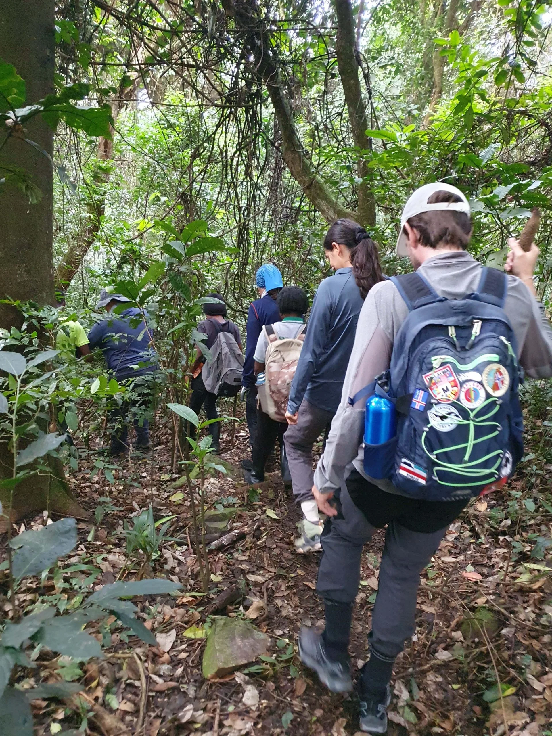What to Pack for Gorilla Trekking in Uganda?