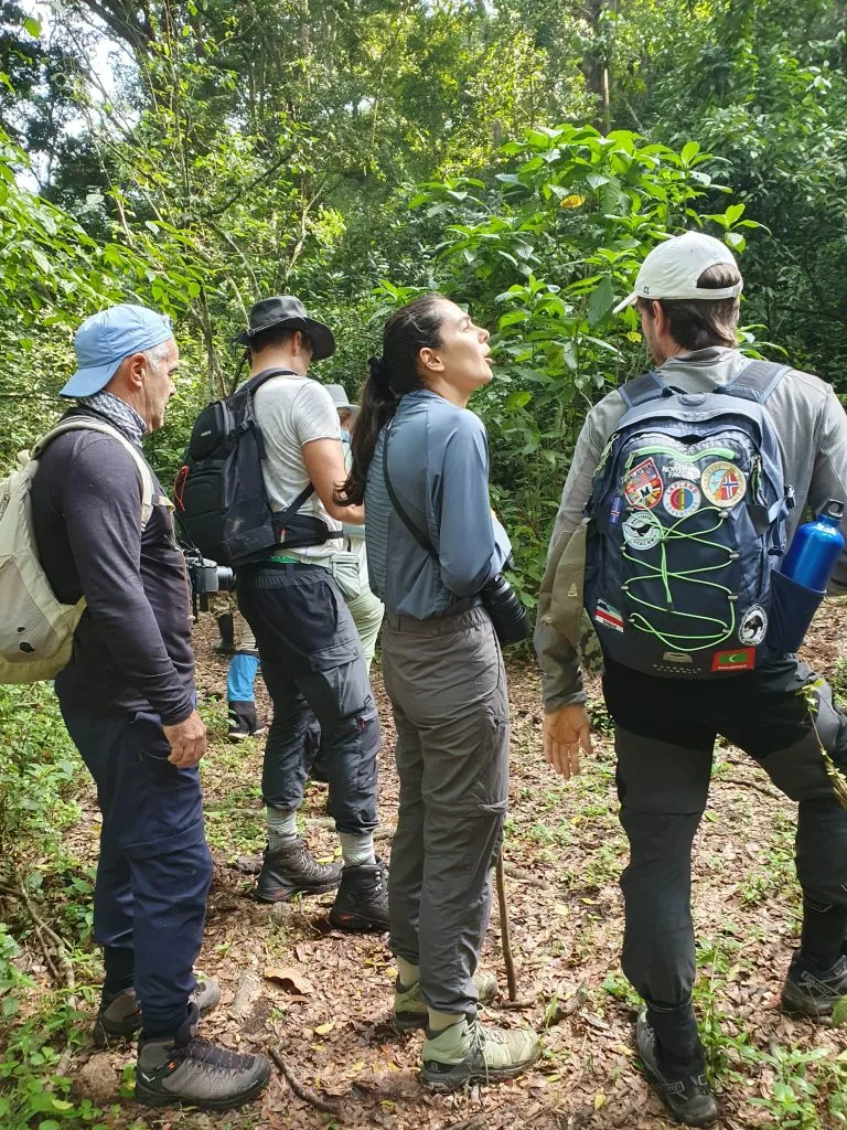 3 Days Bwindi Gorilla Habituation from Kigali