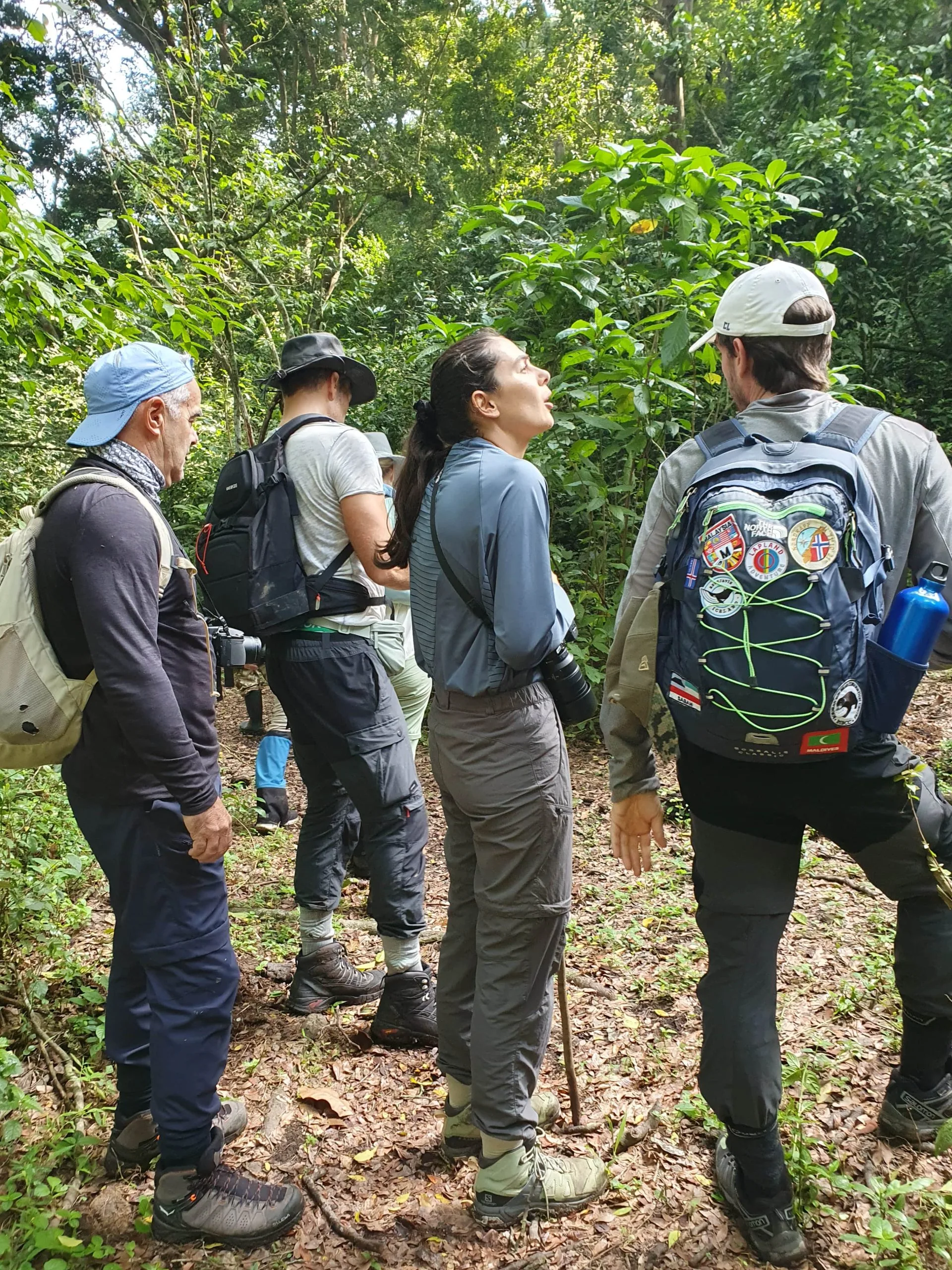 3 Days Bwindi Gorilla Habituation from Kigali