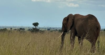 Amboseli National Park