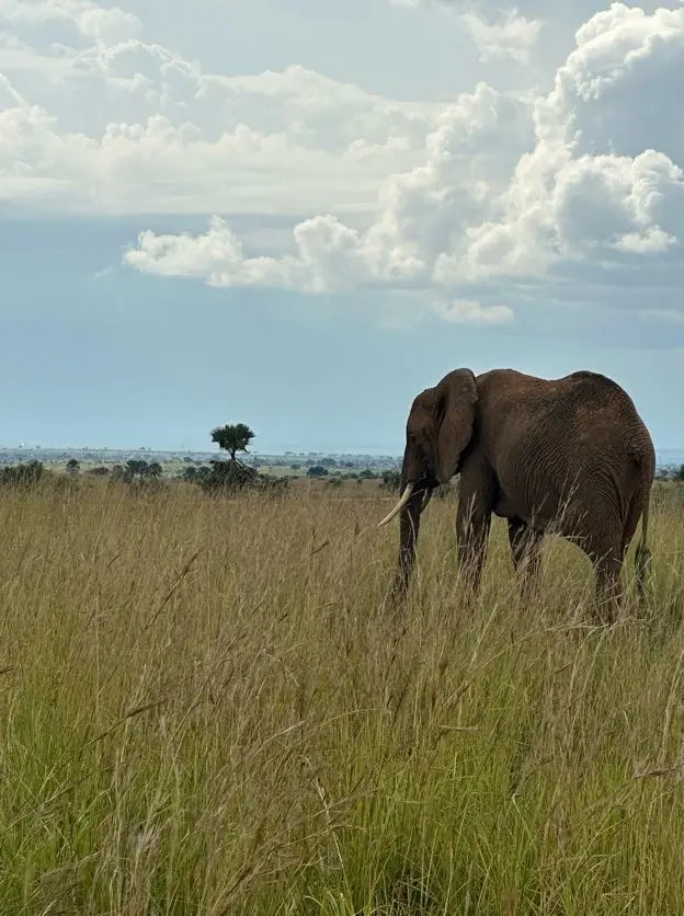 Amboseli National Park