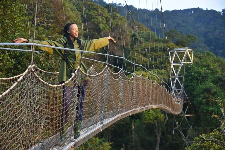 5 Days Kahuzi Biega and Nyungwe Safari