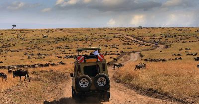 Tanzania the best Safari Destination