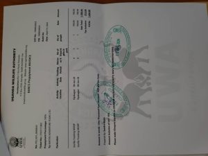 New Price for Gorilla Trekking Permit in Uganda