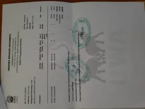 New Price for Gorilla Trekking Permit in Uganda