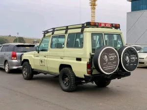 Congo Gorilla Trekking Tours