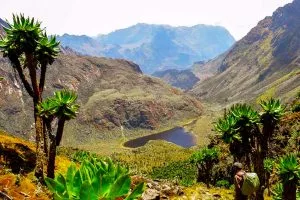 What is the Best Time to Visit Mount Rwenzori?