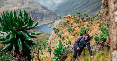 Bukurungu Trail in Mount Rwenzori