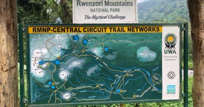 Rwenzori Central Circuit Trail