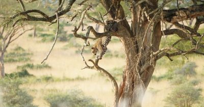 Best Time to Visit Tanzania