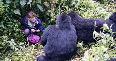 Gorilla Trekking Rules and Regulations in Uganda
