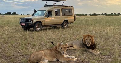 Tanzania Safari Cost