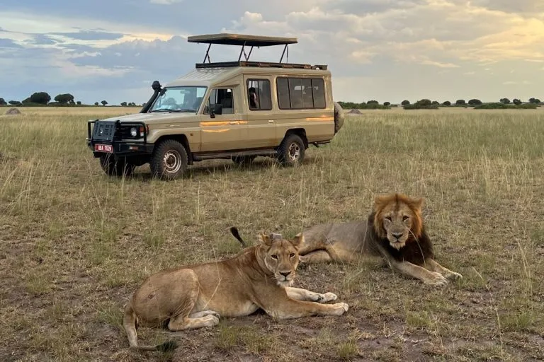 Tanzania Safari Cost
