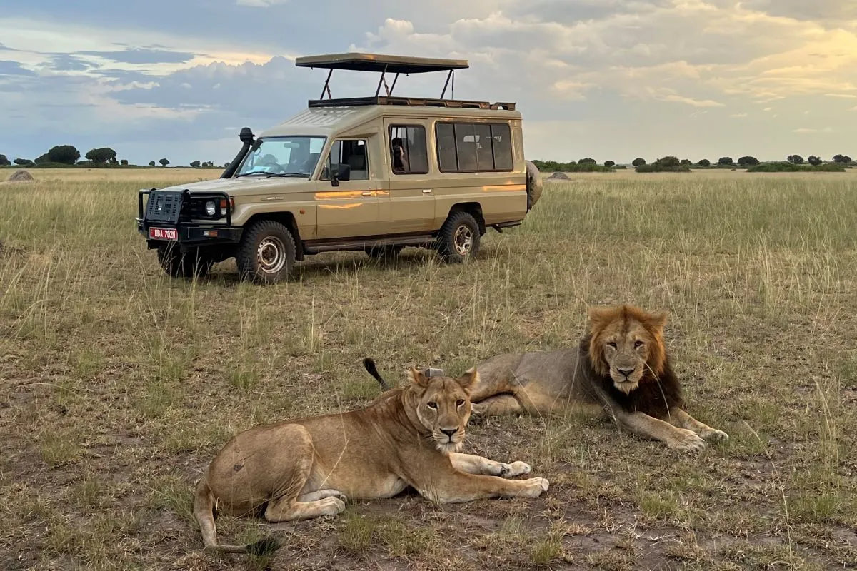 Tanzania Safari Cost