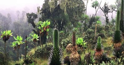 Kilembe Hiking Trail