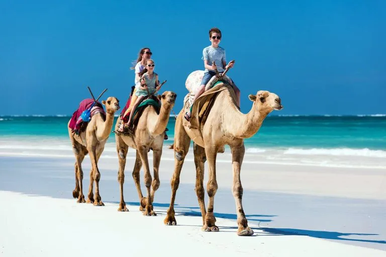 15 Days Uganda Gorilla Safari and Kenya Beach Experience