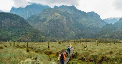 Rwenzori Hiking Trails