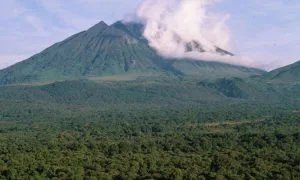 Congo Gorilla Trekking Tours