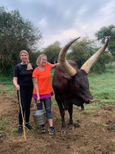 Uganda Safari from Europe