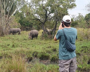 3 Days Akagera Wildlife Safari