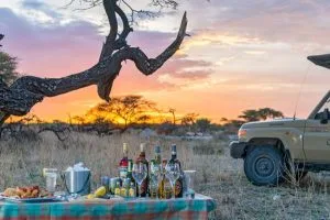 Honeymoon Safaris in Tanzania
