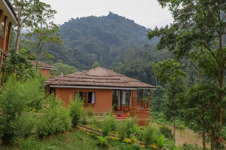 Uganda Luxury Gorilla Trekking Tours