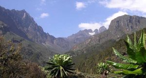 Get to Mount Rwenzori