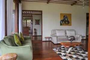 Uganda Luxury Gorilla Trekking Tours