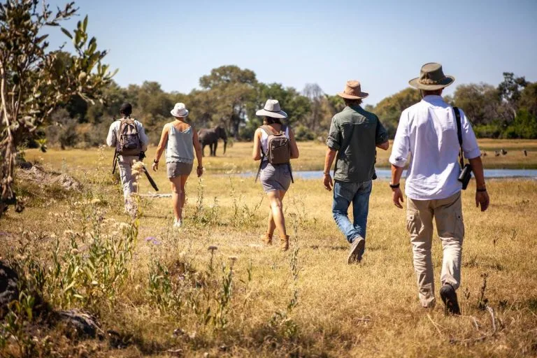 Walking Safaris in Tanzania