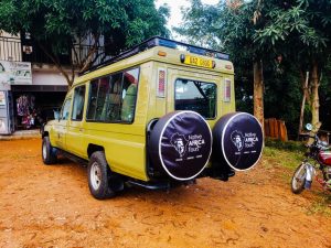 Best time to visit Rwanda