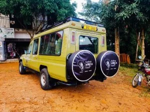 Best time to visit Rwanda