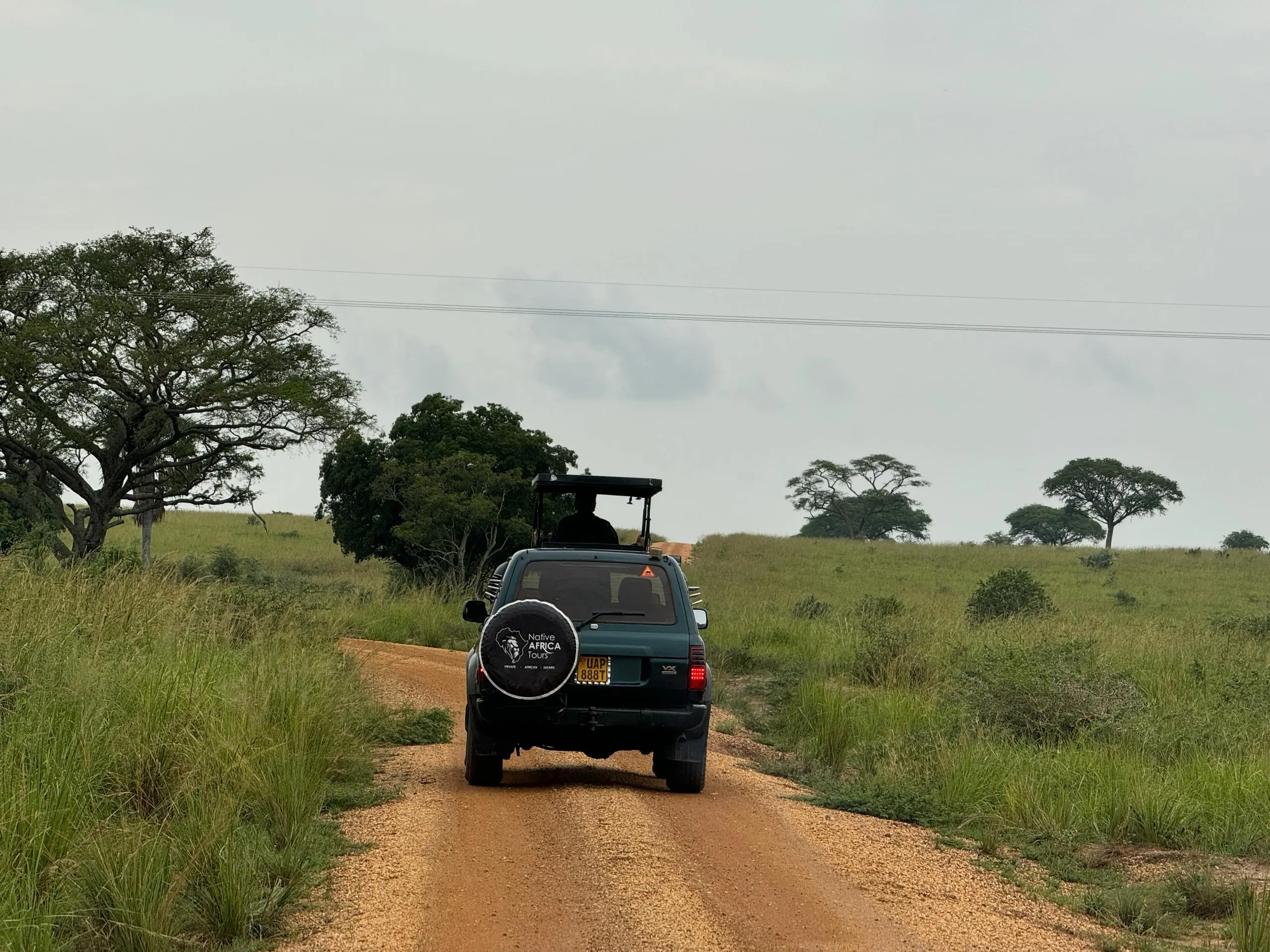 Uganda Safari from Portugal