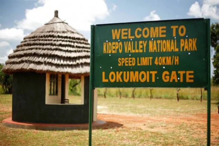 4 Days Kidepo National Park Mid-Range Safari