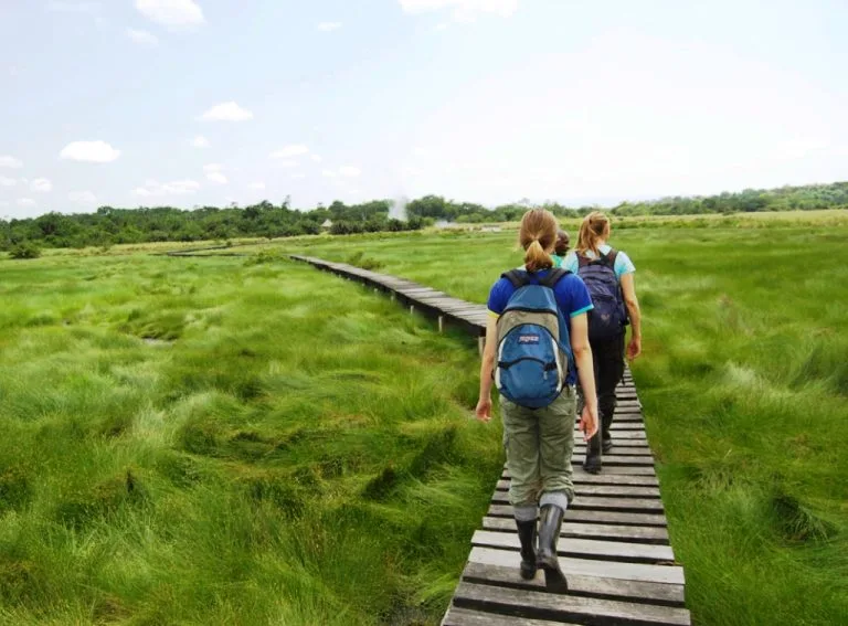Birding Trails in Semuliki National Park