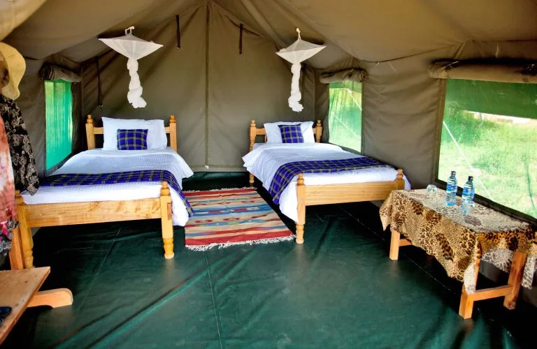 Budget Lodges in Masai Mara National Reserve