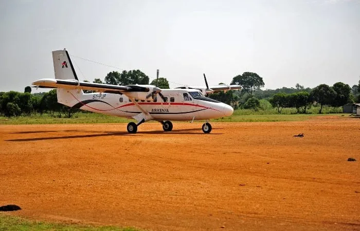 Fly from Masai Mara to Bwindi