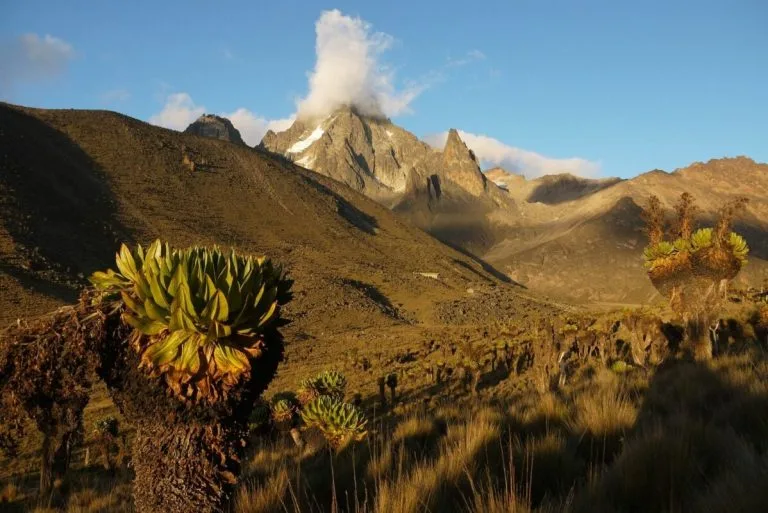 Hiking Tours in Kenya