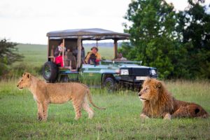 Do I Need a Safari Guide on a Kenya Safari?