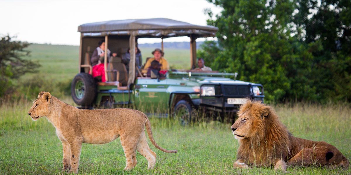 Do I Need a Safari Guide on a Kenya Safari?
